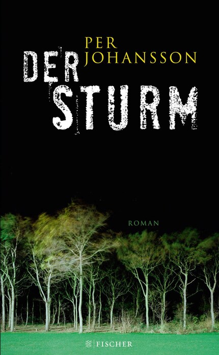 Der Sturm bookCoverFor