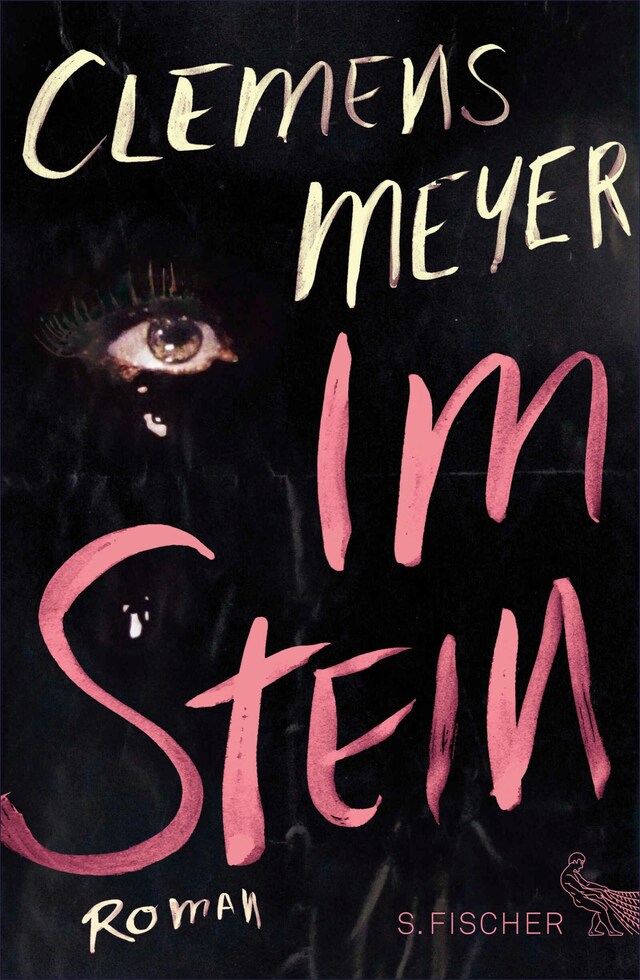 Book cover for Im Stein