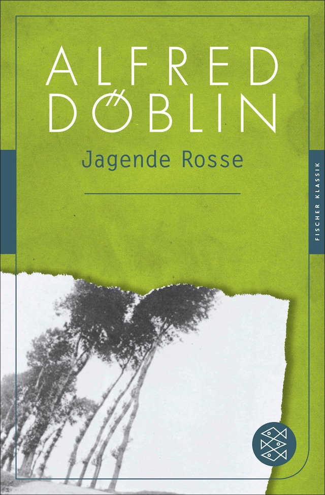 Book cover for Jagende Rosse