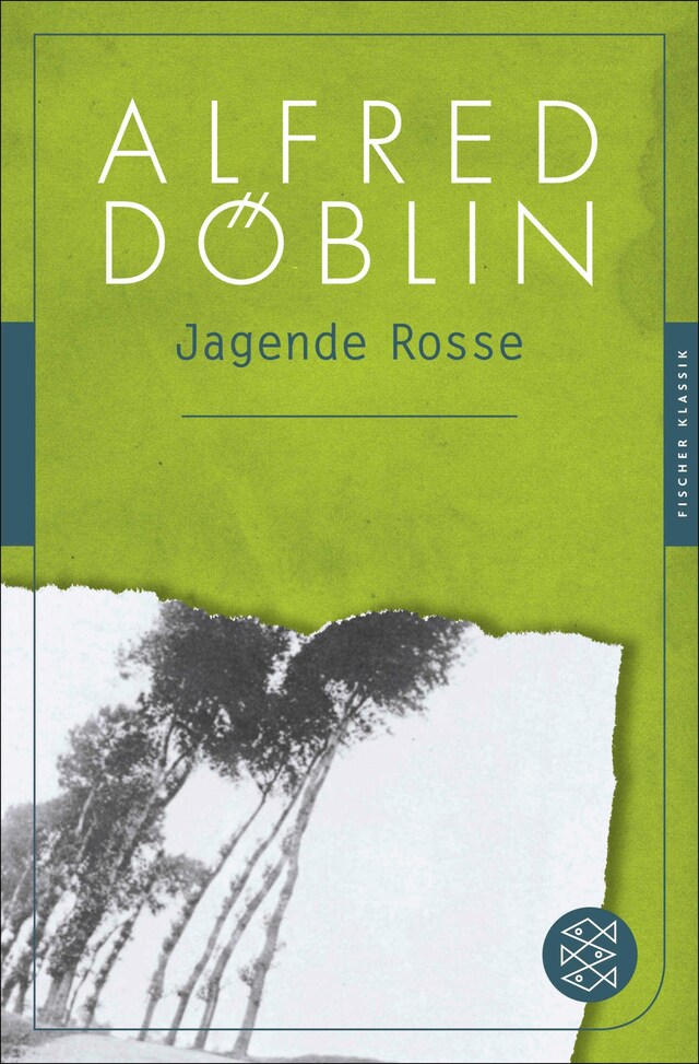 Portada de libro para Jagende Rosse