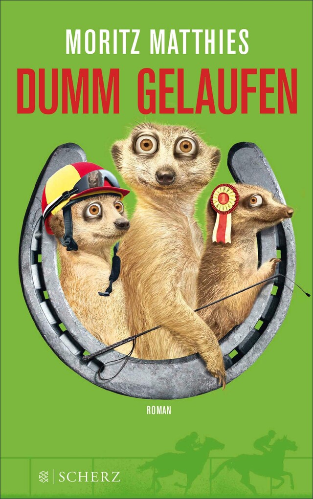 Portada de libro para Dumm gelaufen