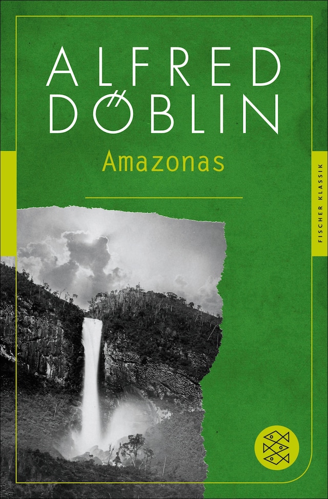Book cover for Amazonas