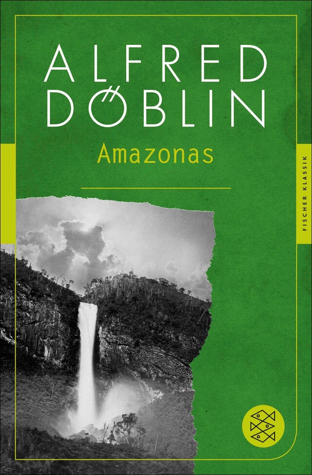 Couverture de livre pour Amazonas