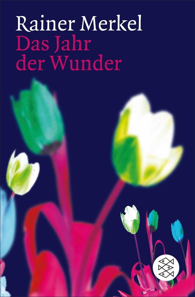 Copertina del libro per Das Jahr der Wunder