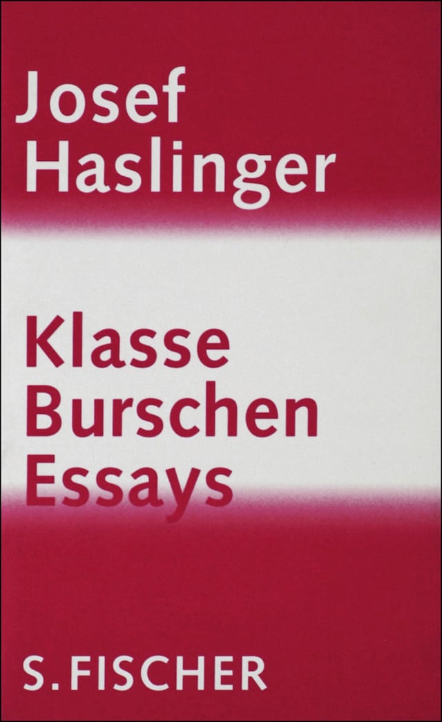 Book cover for Klasse Burschen