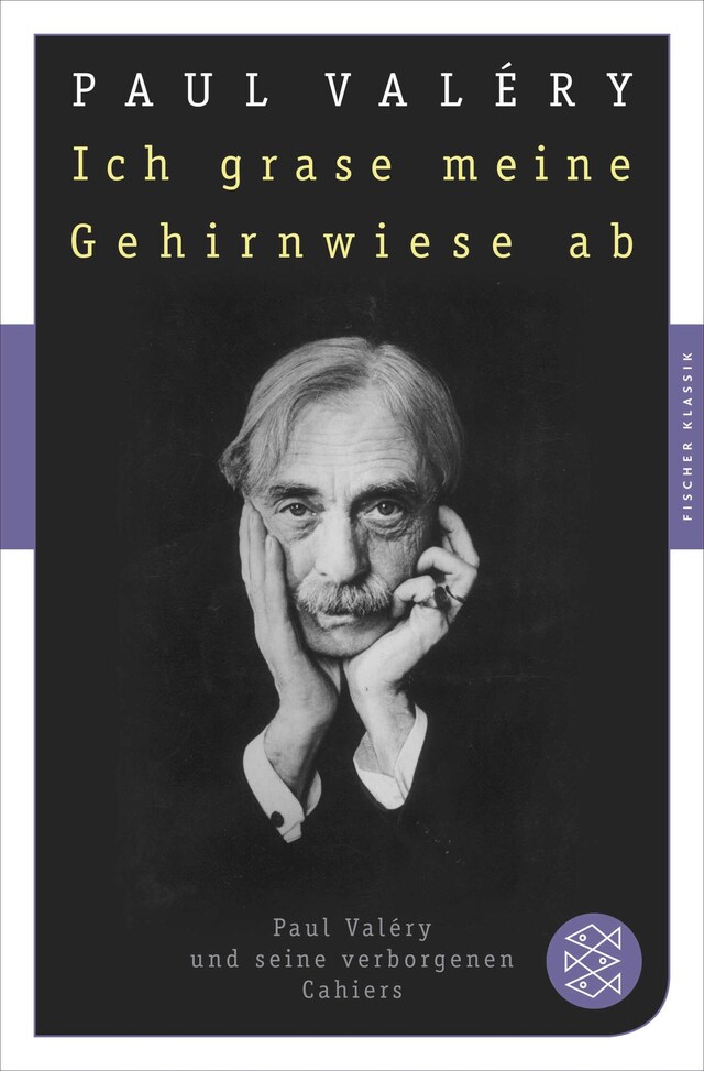 Portada de libro para Ich grase meine Gehirnwiese ab