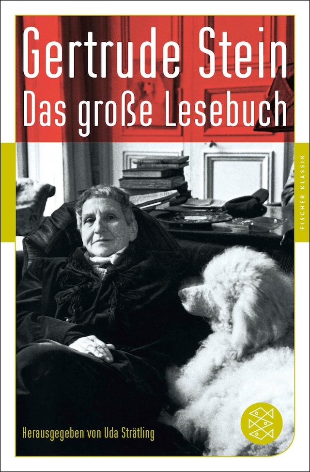 Book cover for Das große Lesebuch