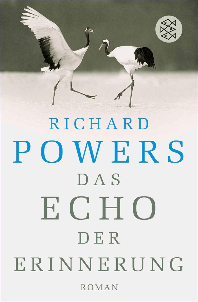 Buchcover für Das Echo der Erinnerung