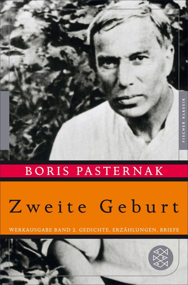 Book cover for Zweite Geburt
