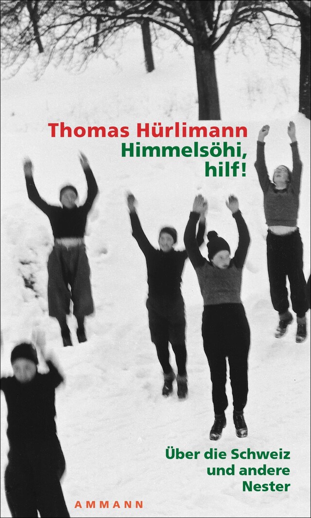 Book cover for Himmelsöhi, hilf!