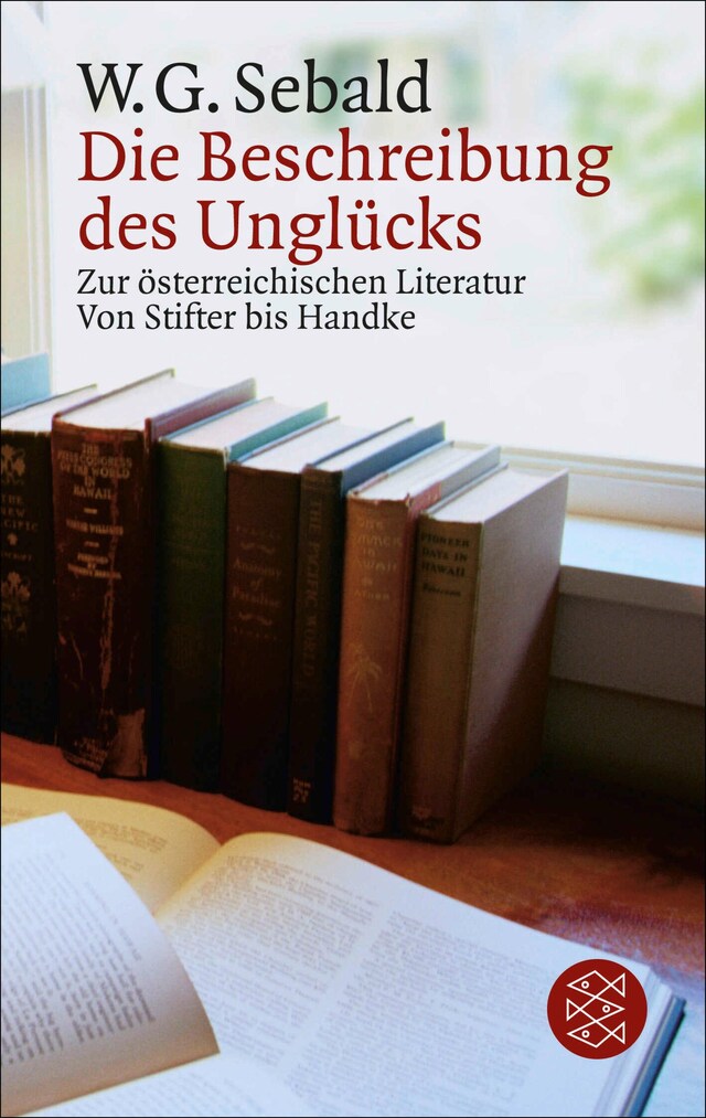 Book cover for Die Beschreibung des Unglücks