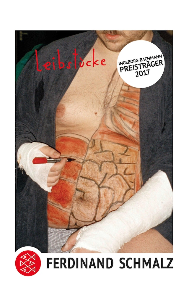 Buchcover für leibstücke