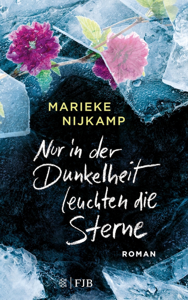 Book cover for Nur in der Dunkelheit leuchten die Sterne