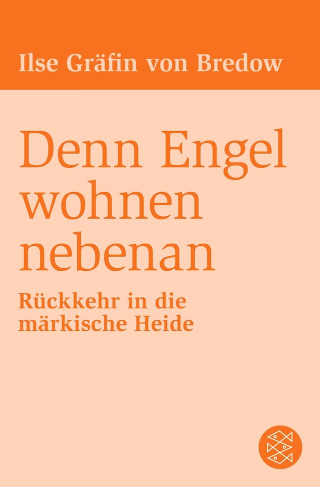 Book cover for Denn Engel wohnen nebenan