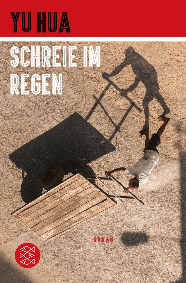 Book cover for Schreie im Regen