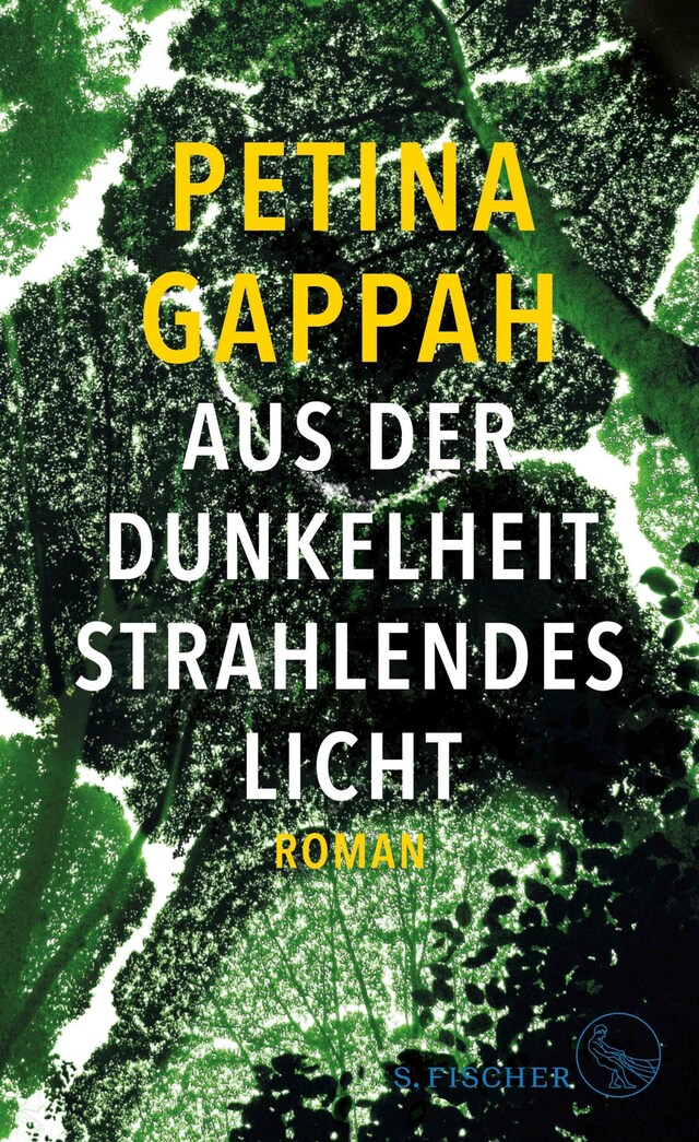 Book cover for Aus der Dunkelheit strahlendes Licht