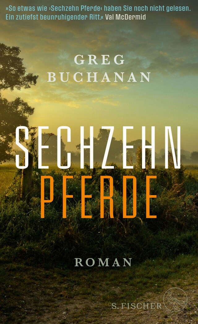 Book cover for Sechzehn Pferde