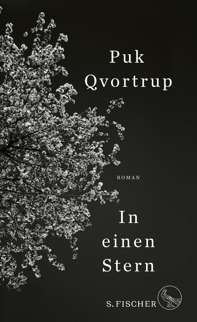 Book cover for In einen Stern