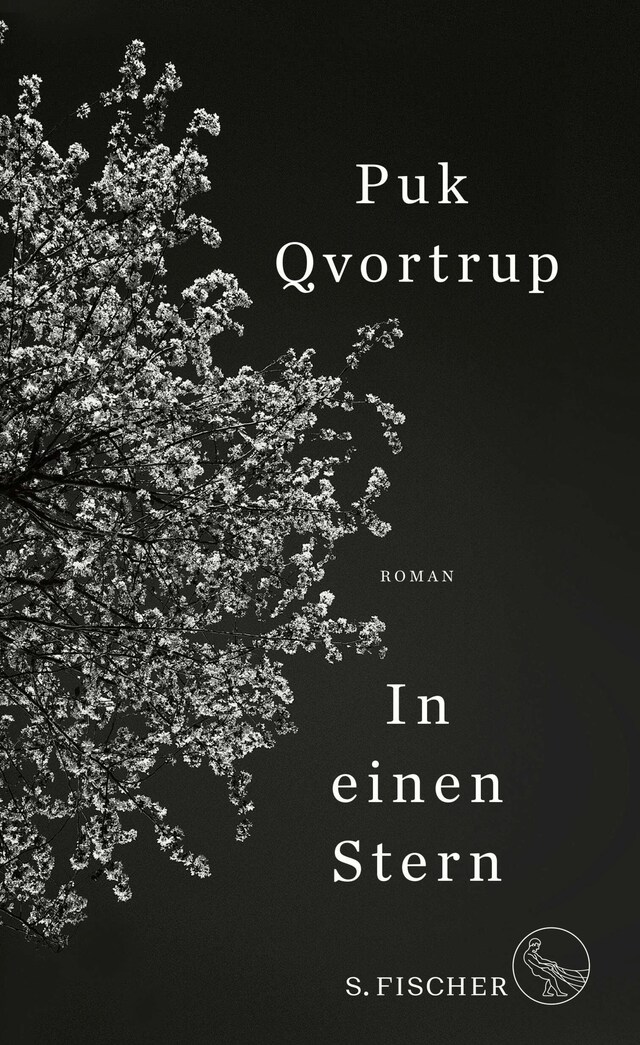 Book cover for In einen Stern