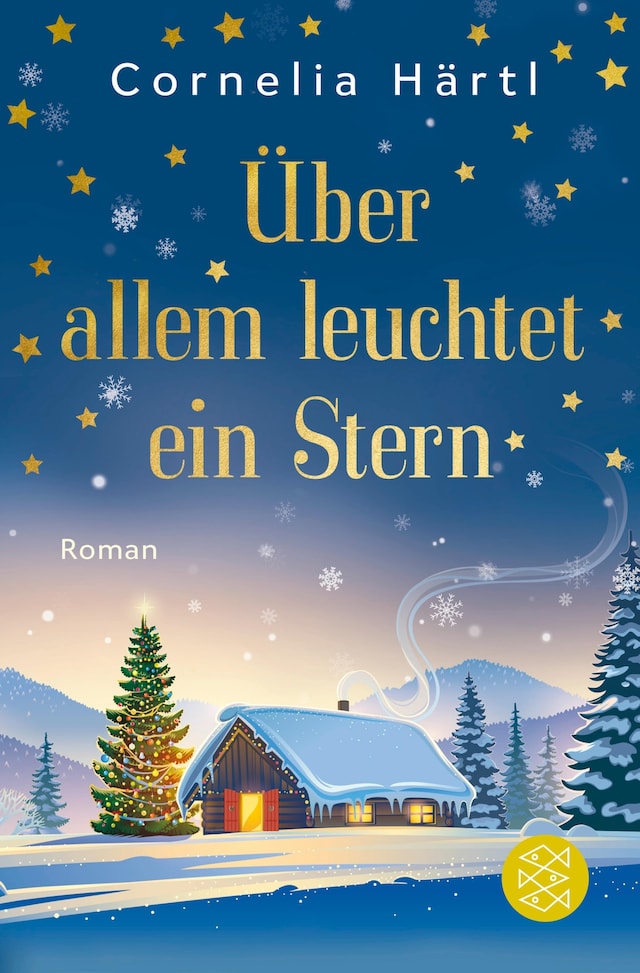 Book cover for Über allem leuchtet ein Stern
