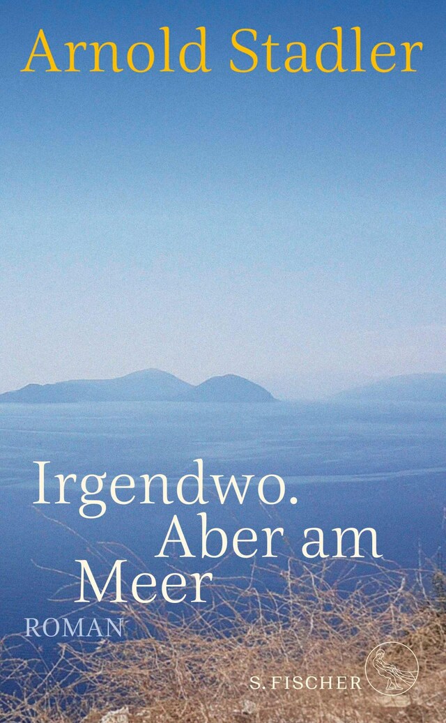 Buchcover für Irgendwo. Aber am Meer