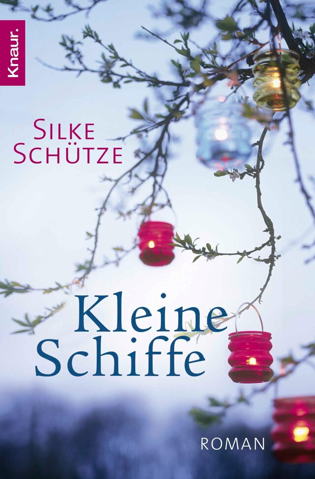 Buchcover für Kleine Schiffe