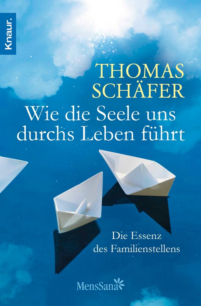 Book cover for Wie die Seele uns durchs Leben führt