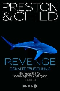 Revenge - Eiskalte Täuschung