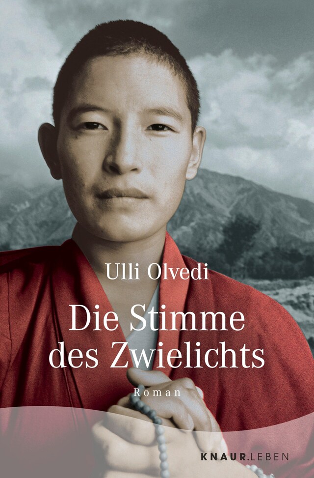 Book cover for Die Stimme des Zwielichts