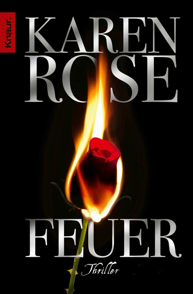 Book cover for Feuer