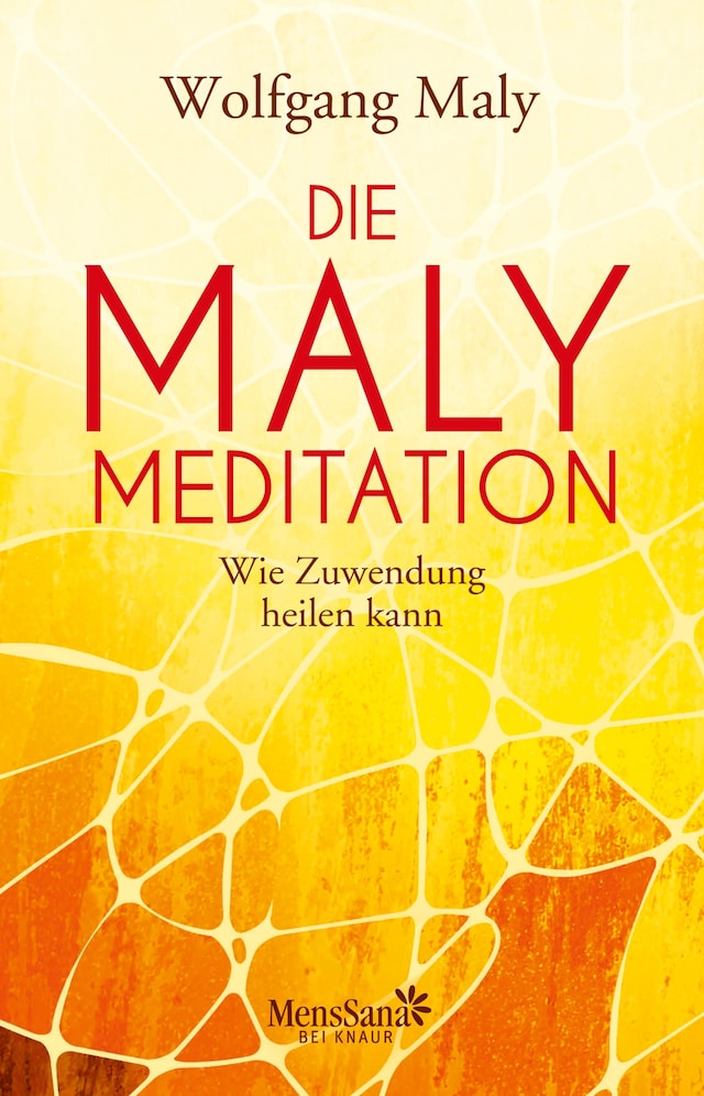 Buchcover für Die Maly-Meditation