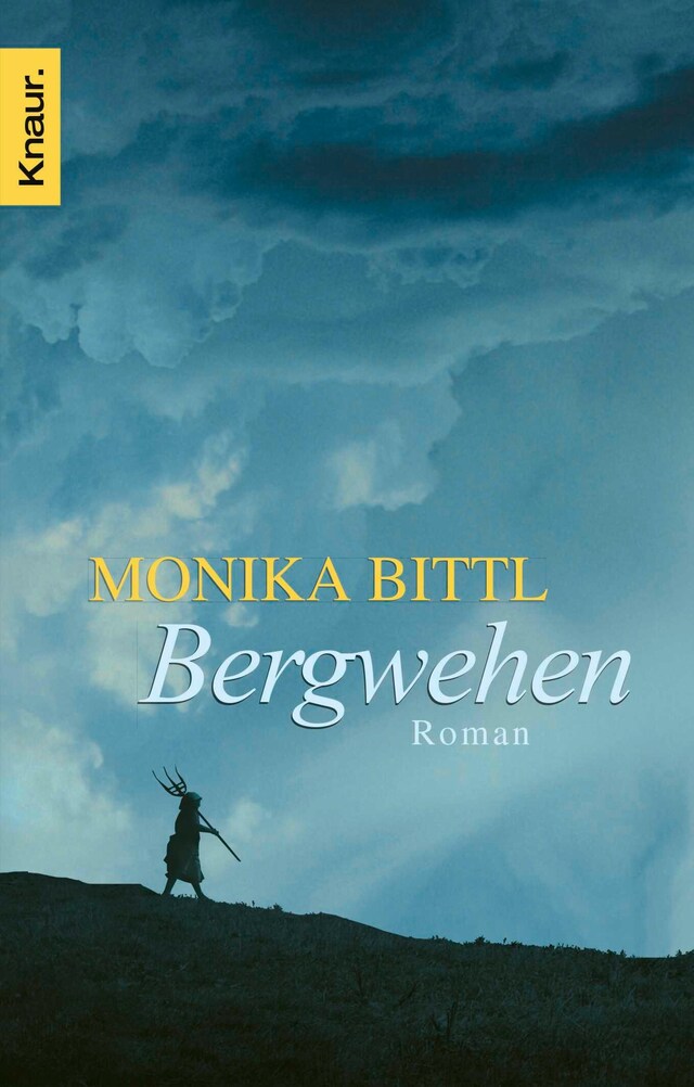 Buchcover für Bergwehen