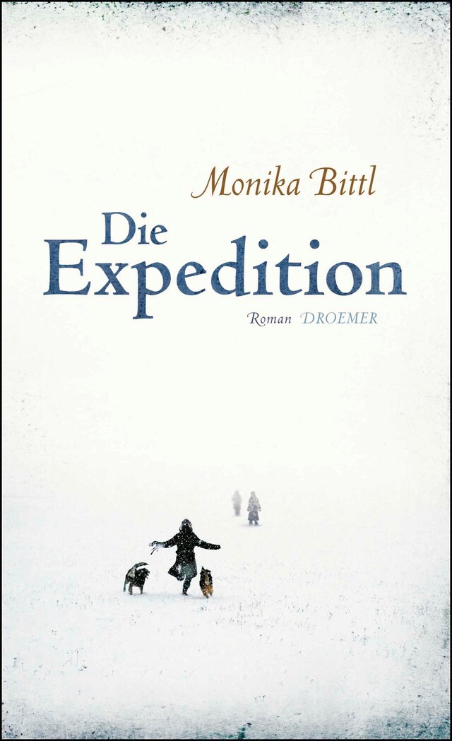 Book cover for Die Expedition