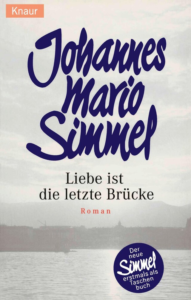 Book cover for Liebe ist die letzte Brücke