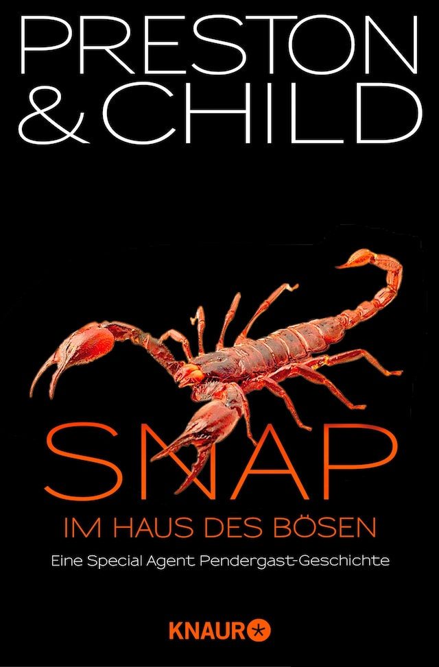 Book cover for Snap - Im Haus des Bösen