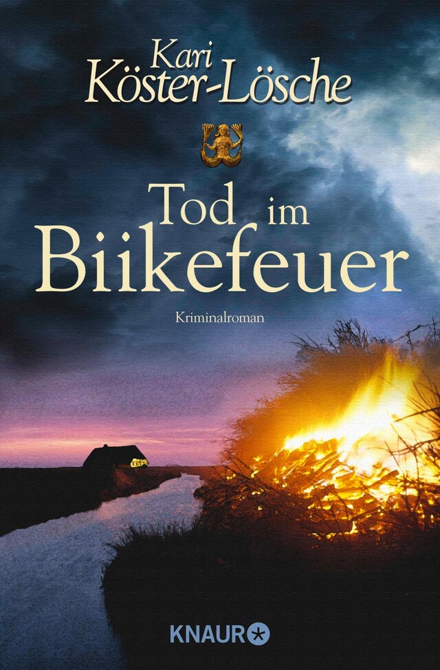 Boekomslag van Tod im Biikefeuer