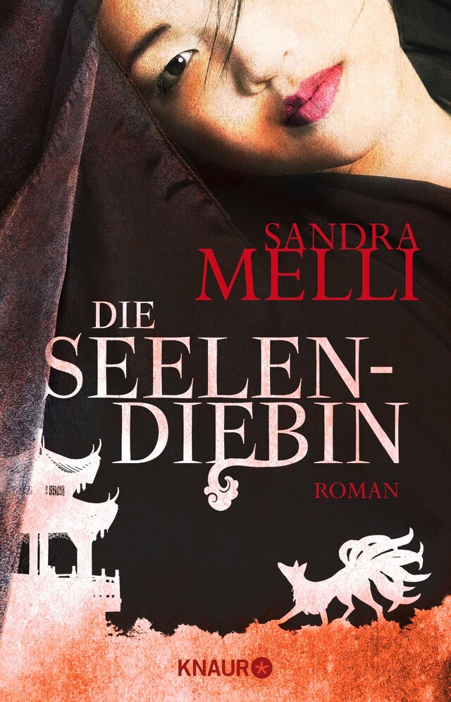 Book cover for Die Seelendiebin