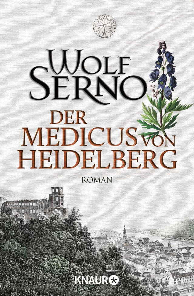 Buchcover für Der Medicus von Heidelberg