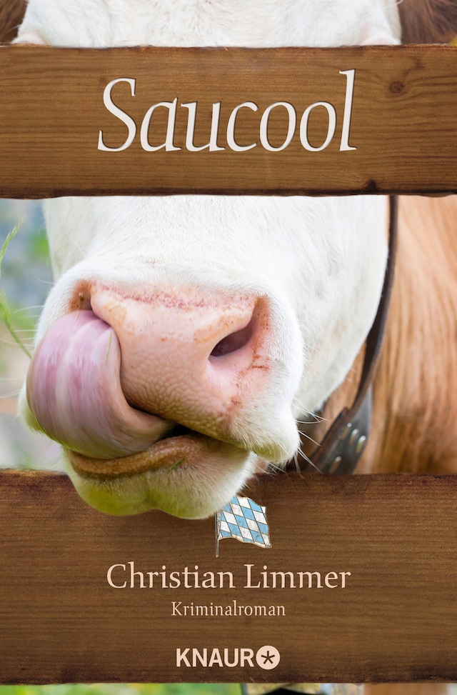Okładka książki dla Saucool