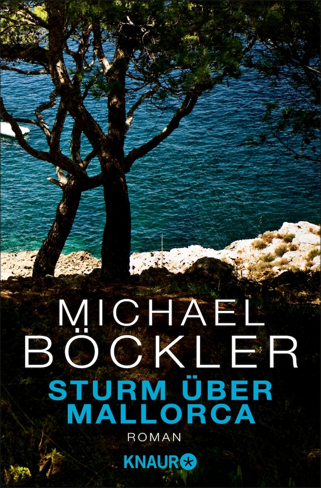 Book cover for Sturm über Mallorca