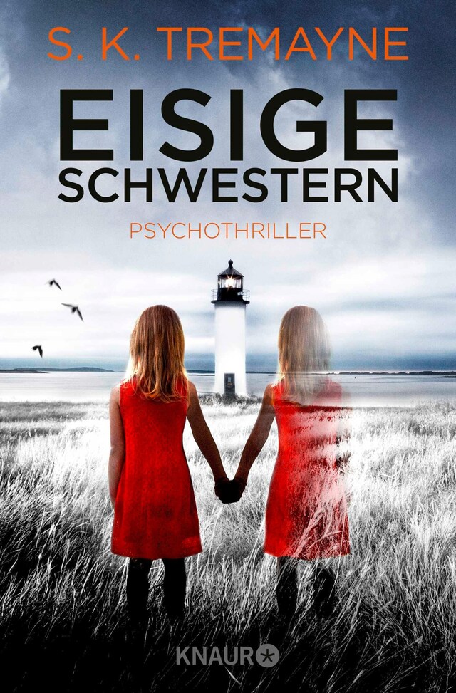 Book cover for Eisige Schwestern