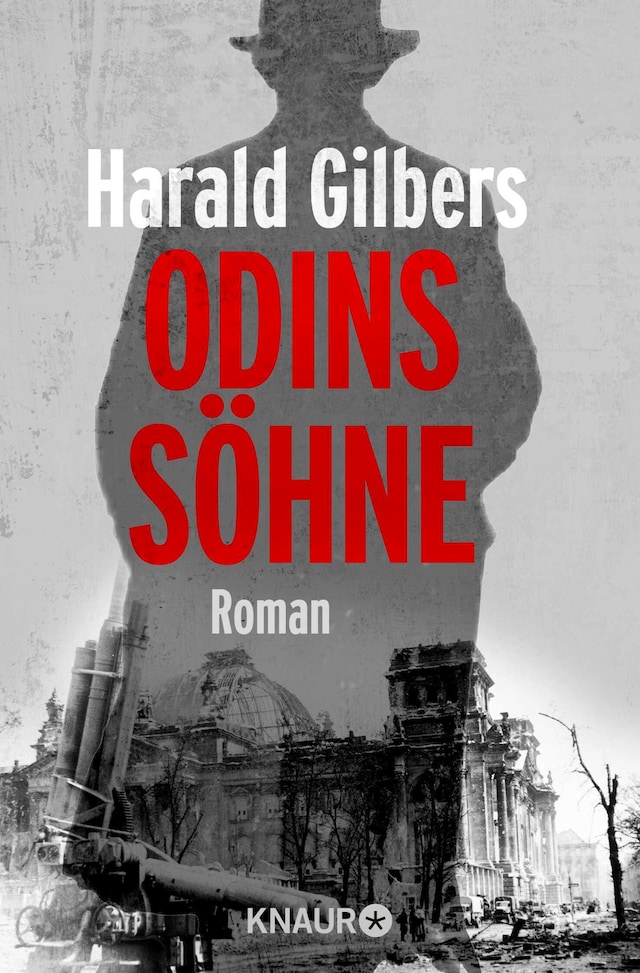 Book cover for Odins Söhne