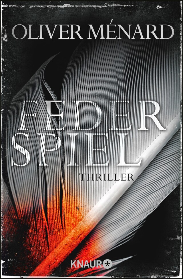 Book cover for Federspiel