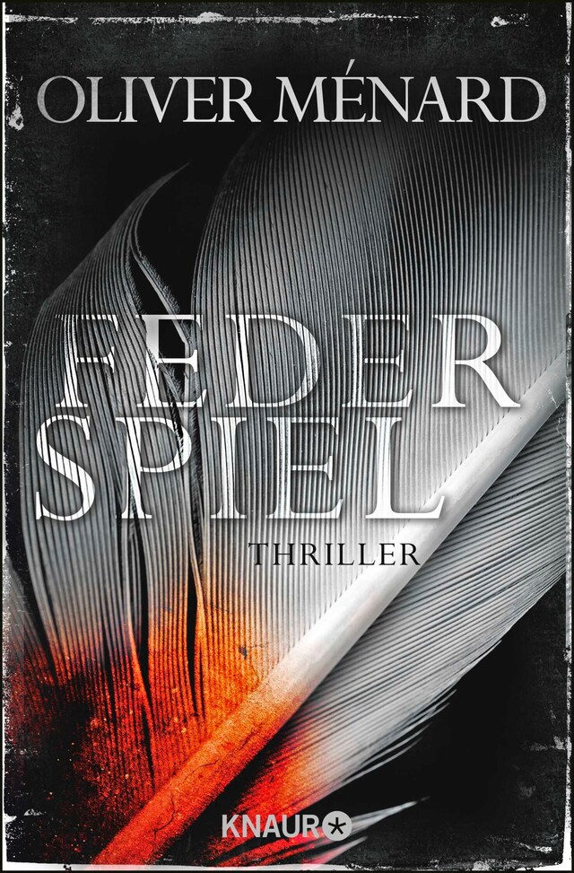 Buchcover für Federspiel