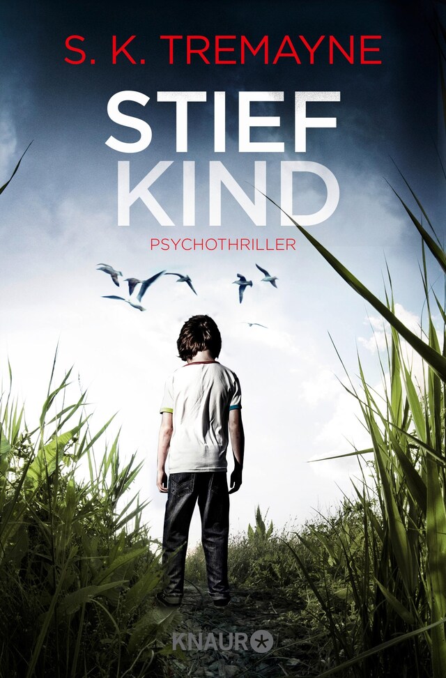 Book cover for Stiefkind