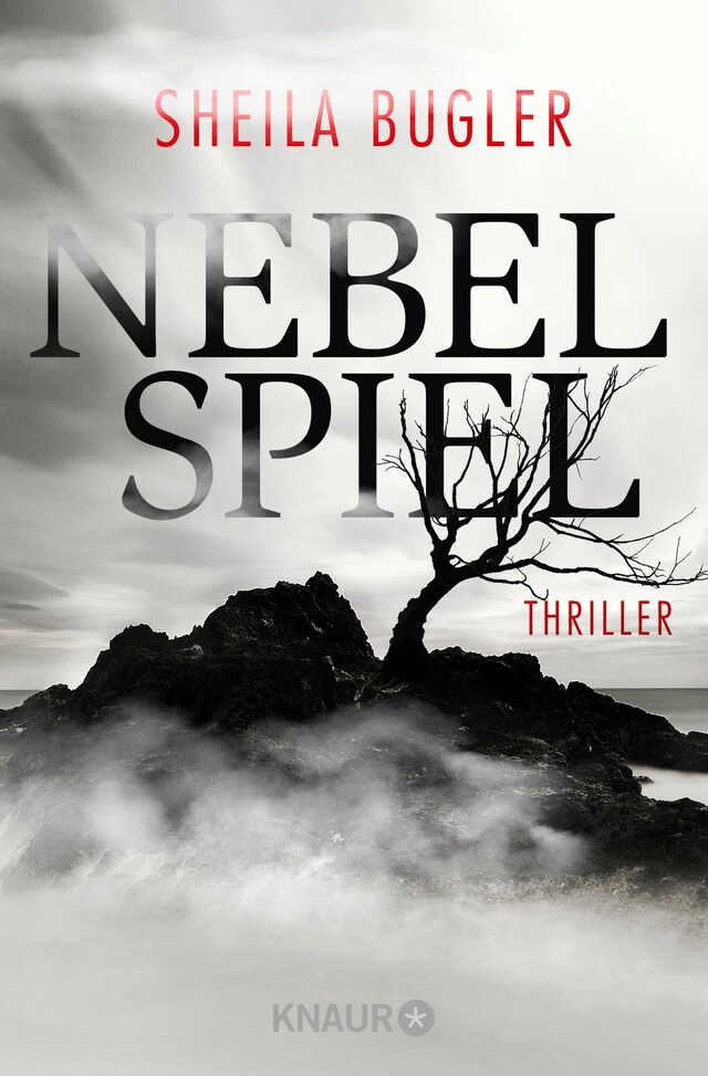 Buchcover für Nebelspiel