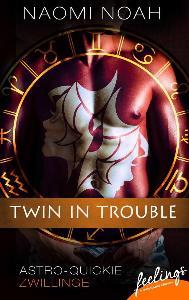 Book cover for Twin in Trouble
