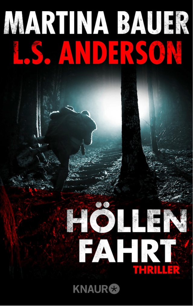 Portada de libro para Höllenfahrt