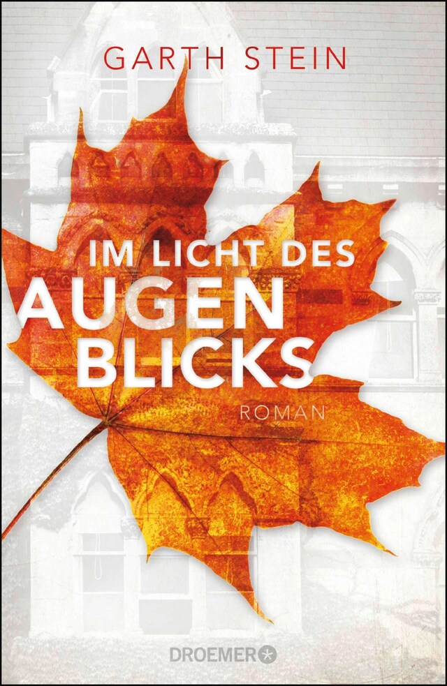 Book cover for Im Licht des Augenblicks