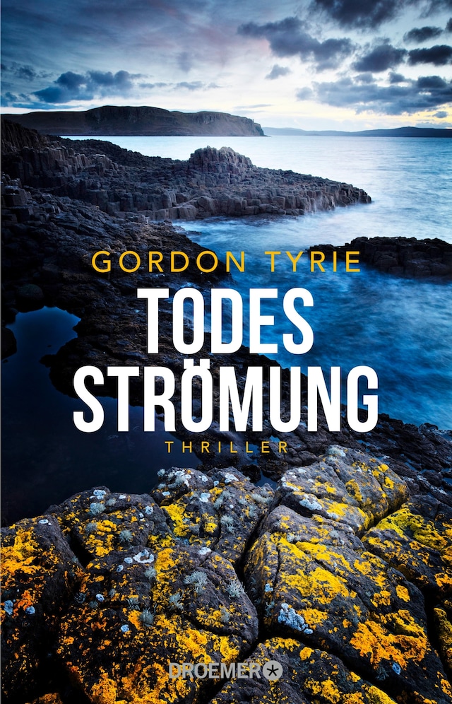 Book cover for Todesströmung